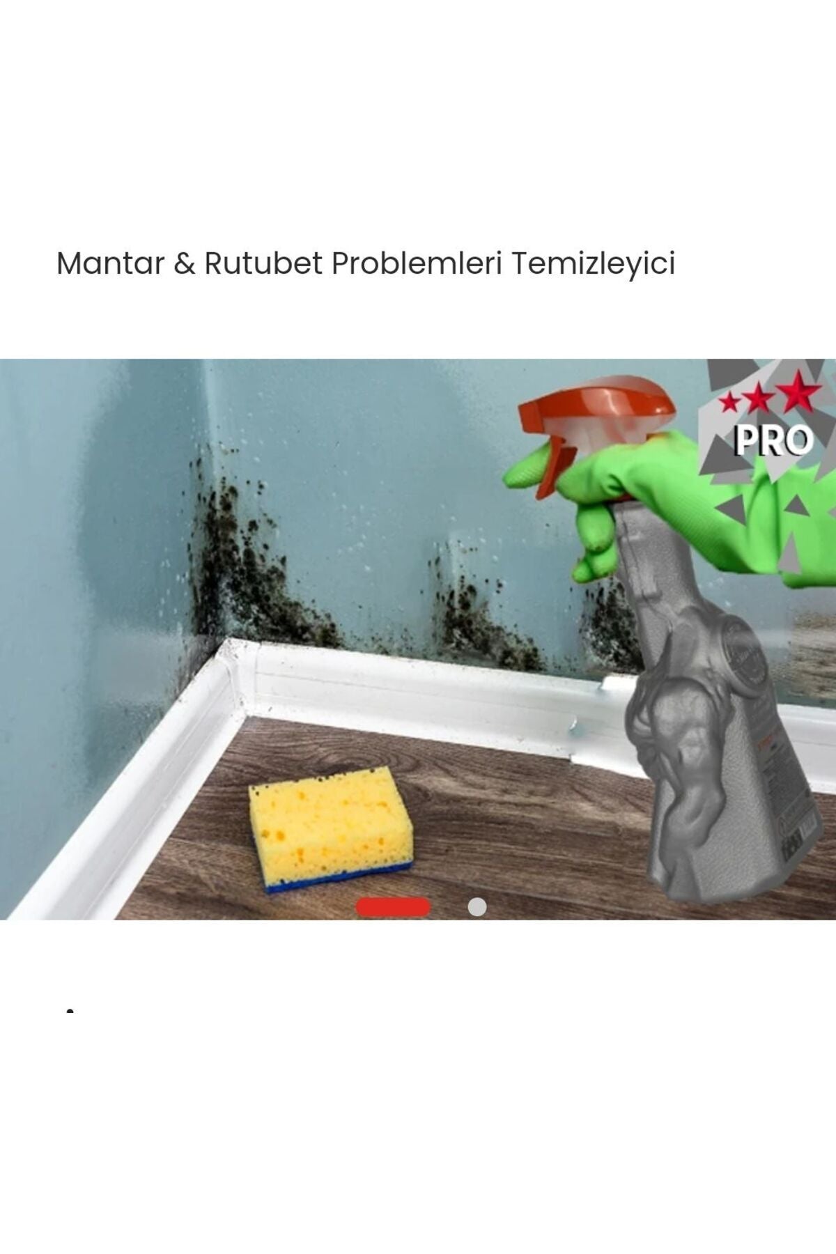 Küf Giderici Sprey 1 Litre